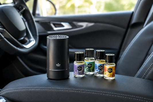 Single Scent Versus Fragrance Bundle for Your Car