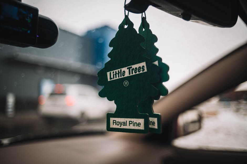 Scent Choices for Car Travel