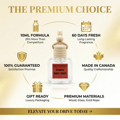 Autumn Apple Spice 10ml Hanging Car Diffuser  2-Pack